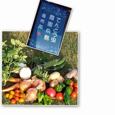 糸島の露地物野菜販売会