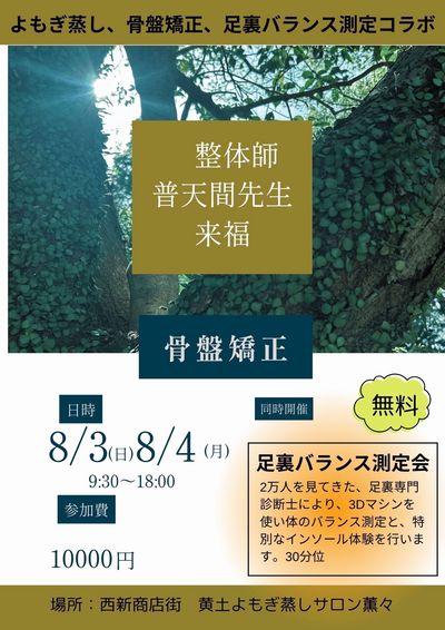 体バランス測定会